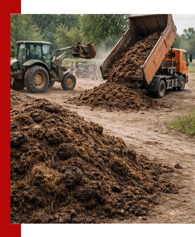 Доставка навоза самосвалами в Рославле для сельхозпотребностей